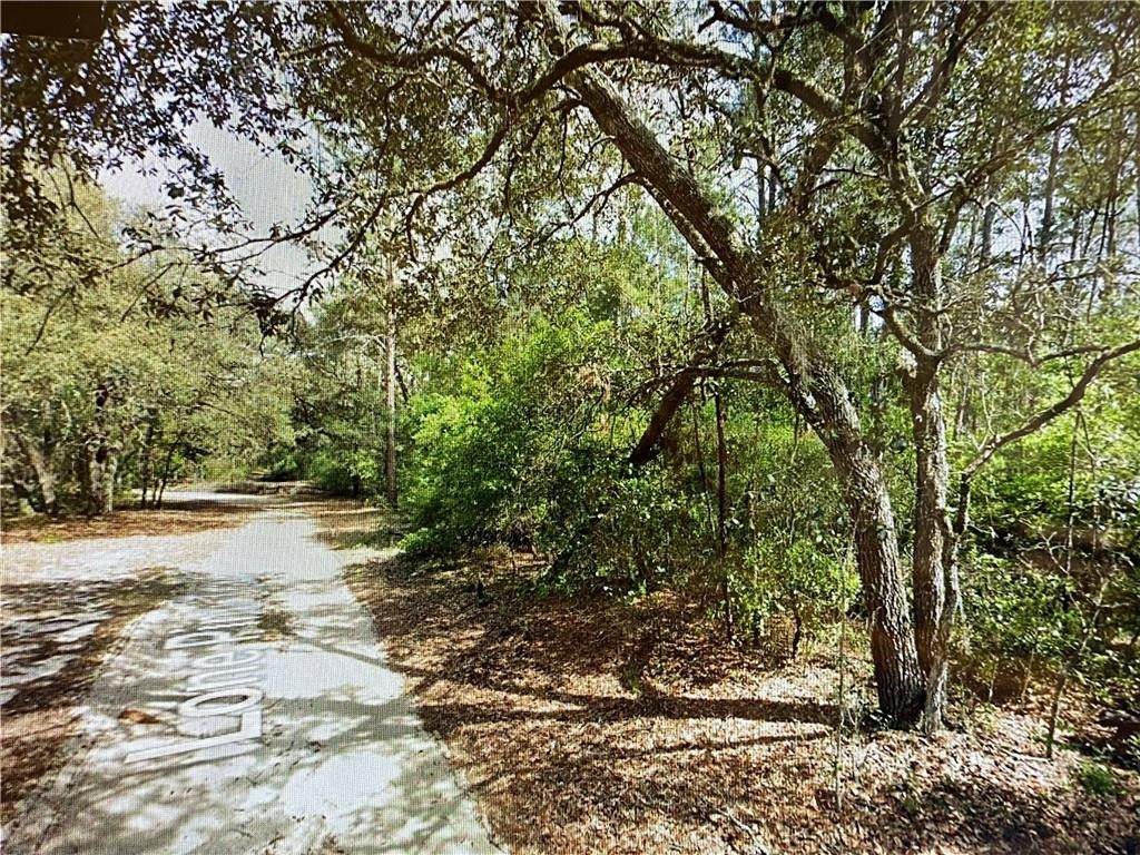 0000 Lone Pine Trail - Photo 1