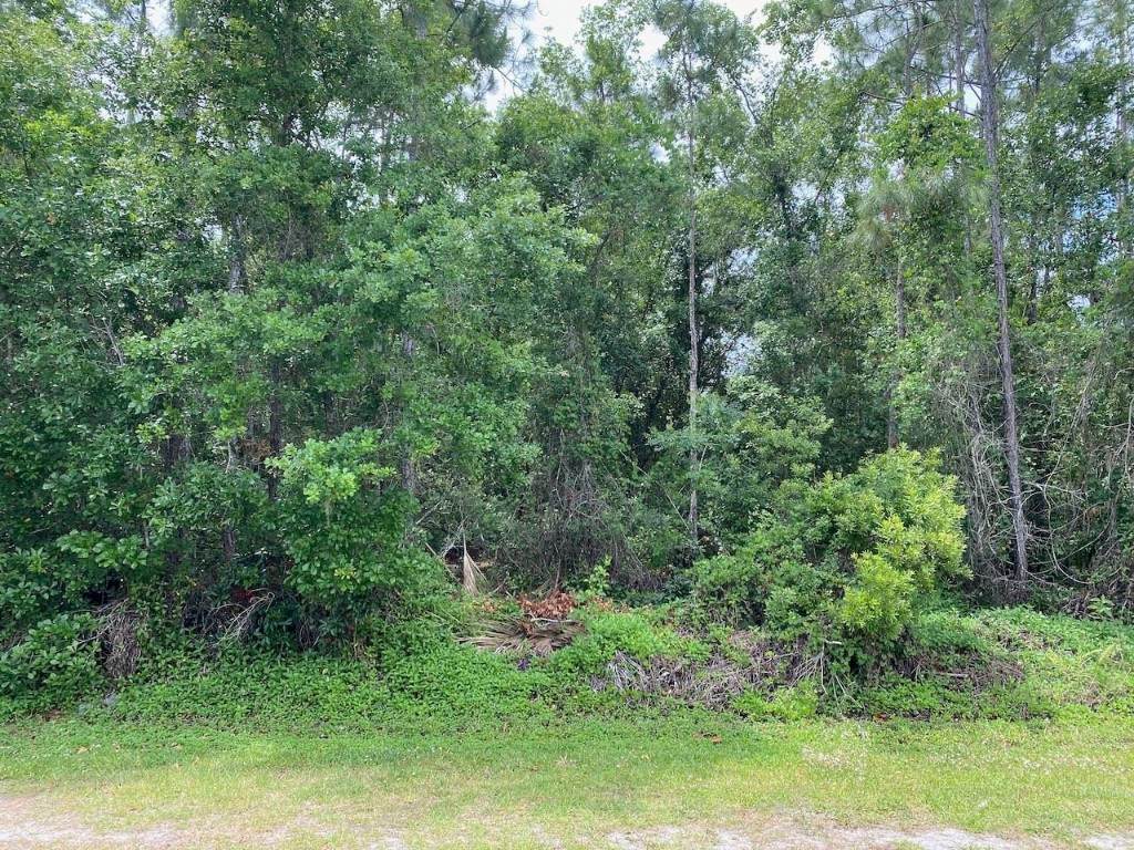 2351 Allamanda Drive - Photo 1