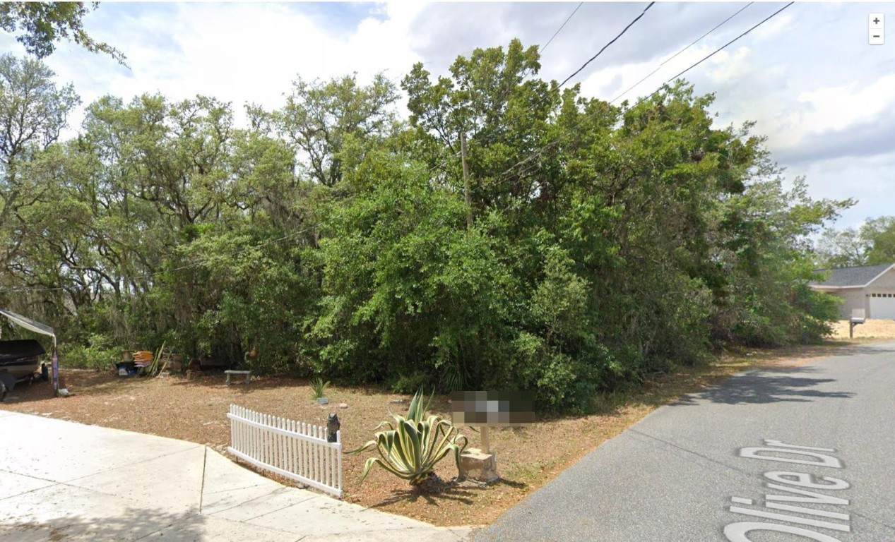 26 Olive Drive - Photo 1