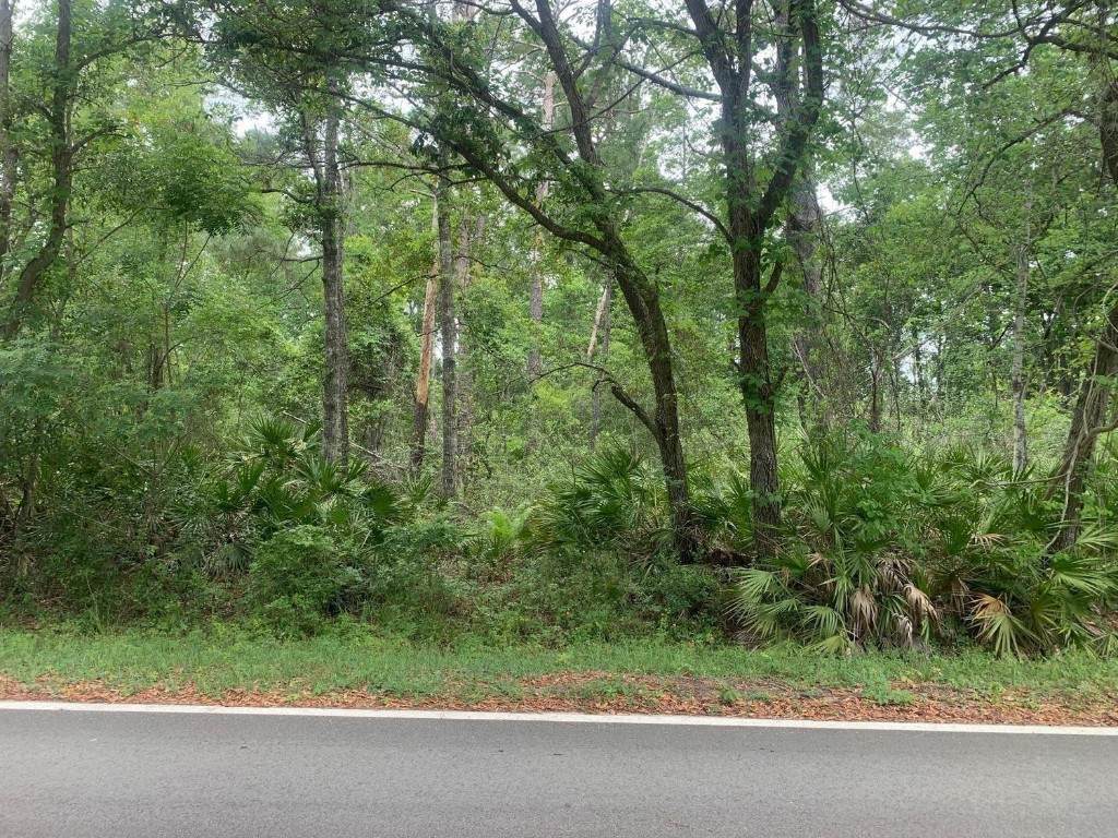 0 Theresa Avenue - Photo 1