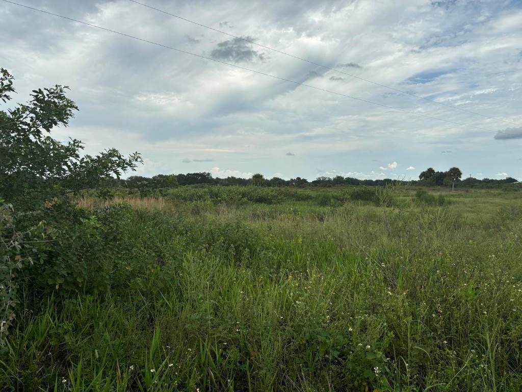 29800 192nd Avenue - Photo 1