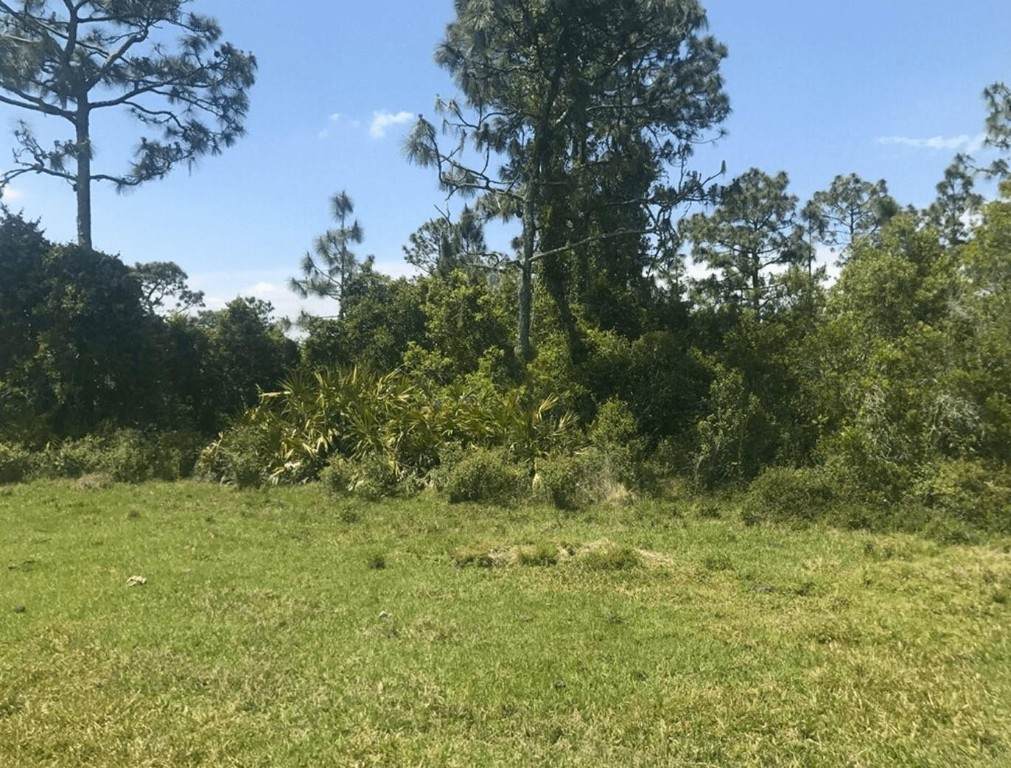 0 Holopaw Groves Road - Photo 1