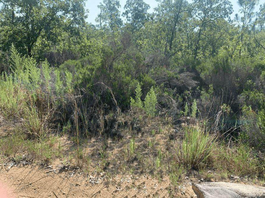 214 Marion Trail - Photo 1