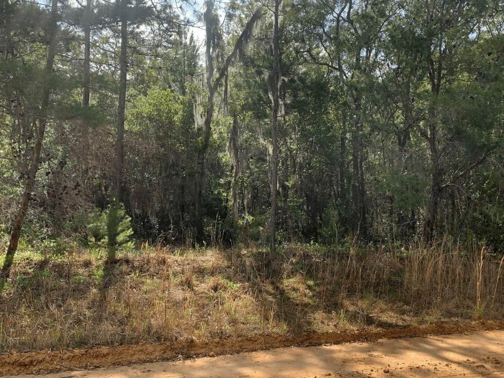 0 Shappell Avenue - Photo 1