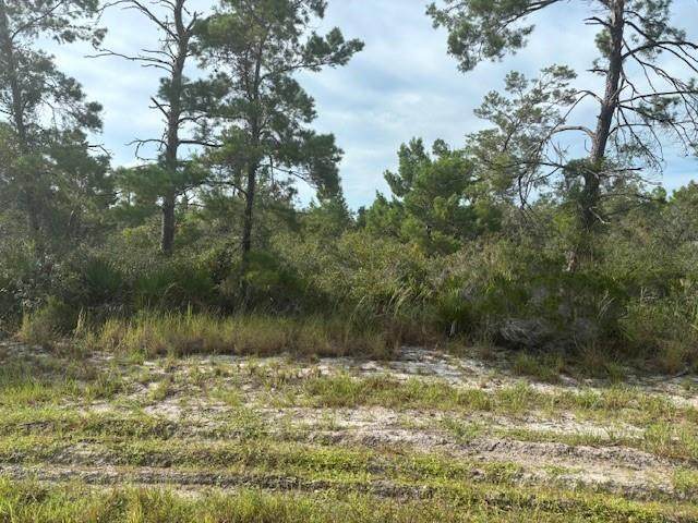 0 Cypress Street - Photo 1
