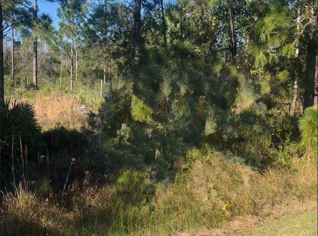 0 Kenansville - Photo 1