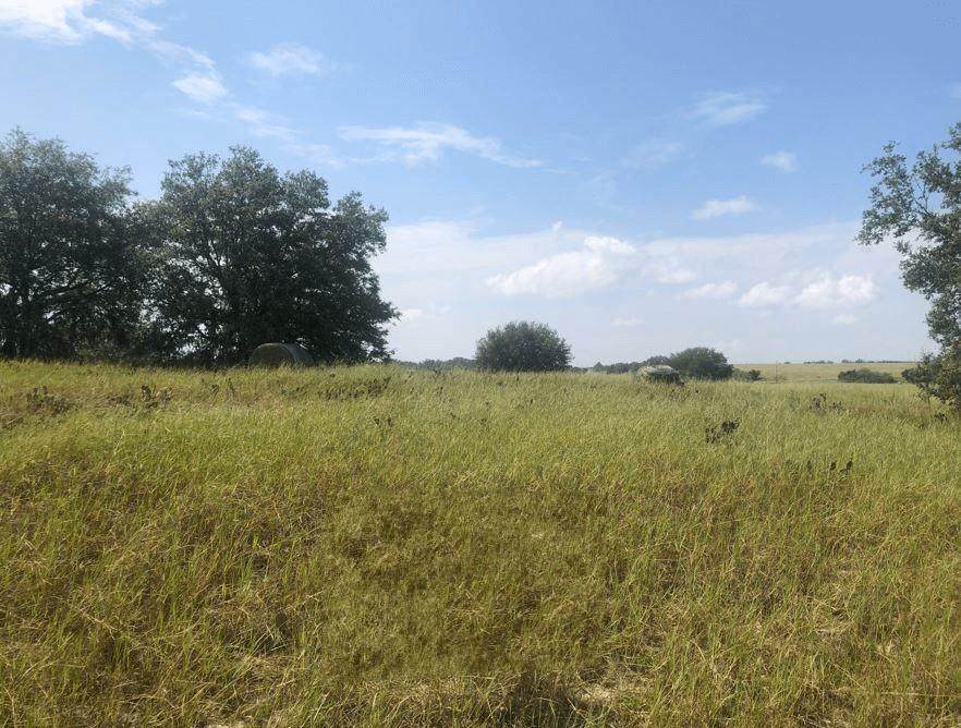 0 Libby Road - Photo 1