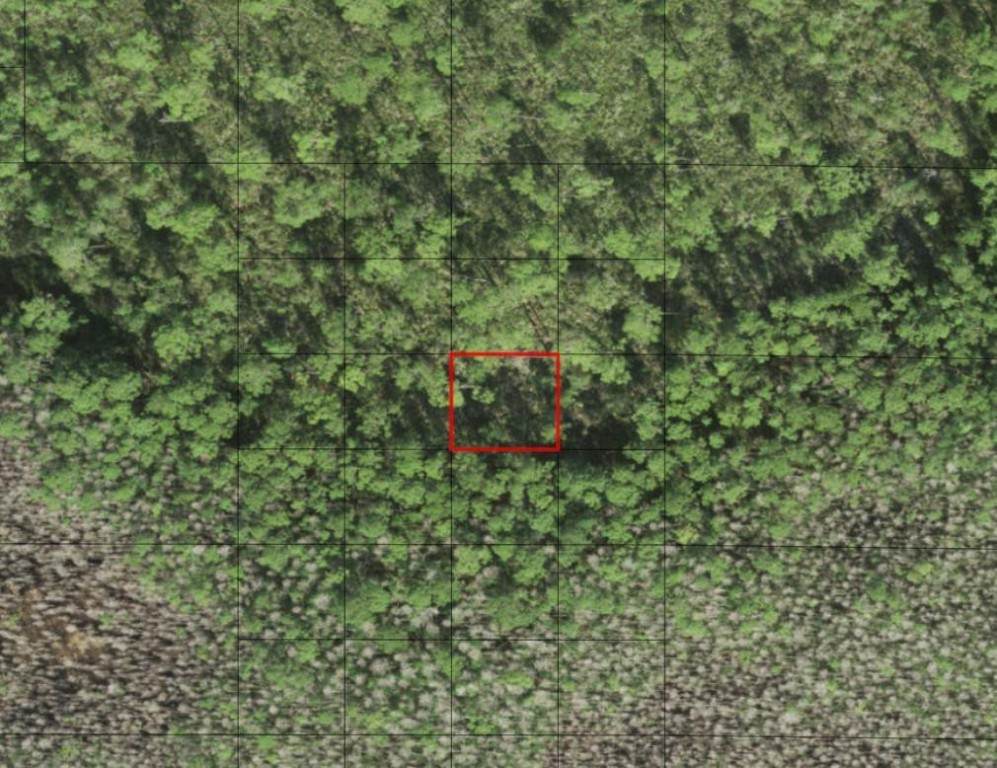 0 Holopaw Groves Road - Photo 1
