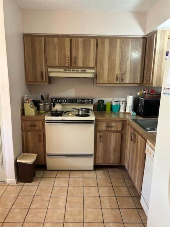 480 76th Avenue - Photo 1