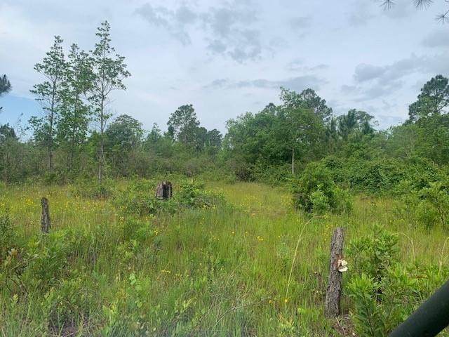 0 Holopaw Groves Road - Photo 1