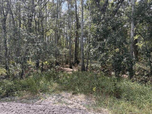 0 County Rd 54 - Photo 1