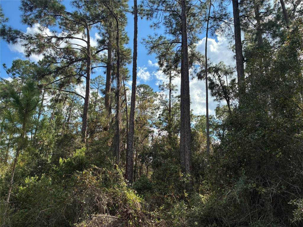 Lot 15 Park Avenue - Photo 1