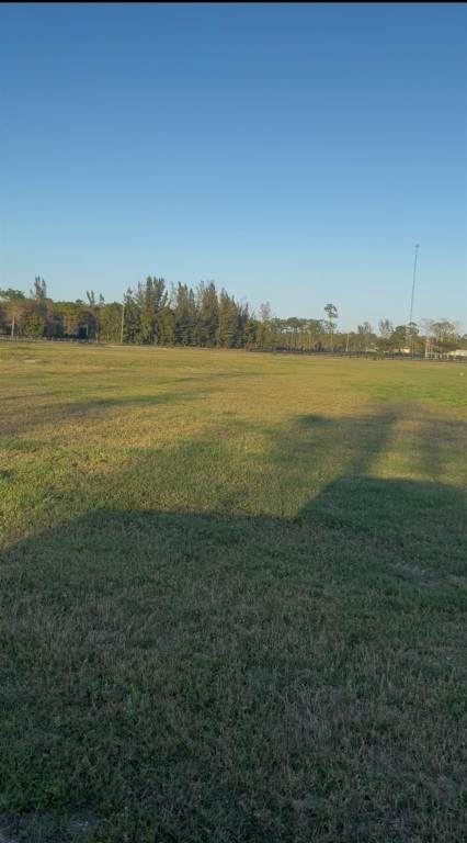 6510 Duckweed Road - Photo 1