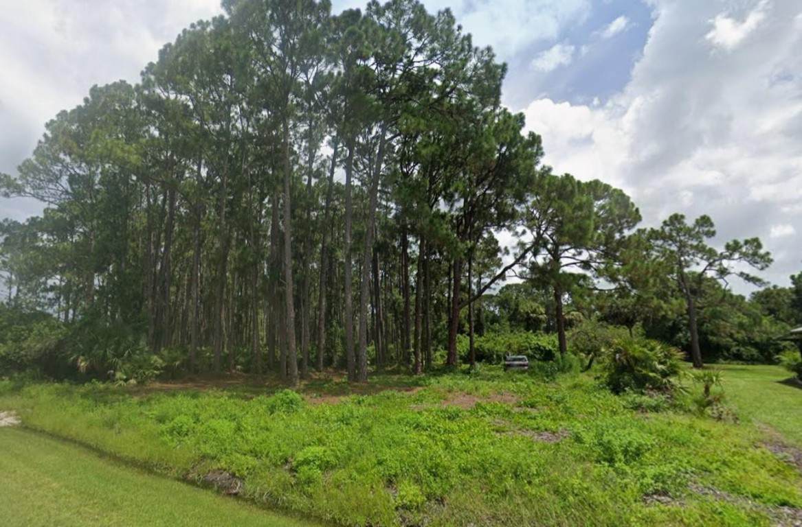 12203 Chamberlain Boulevard - Photo 1