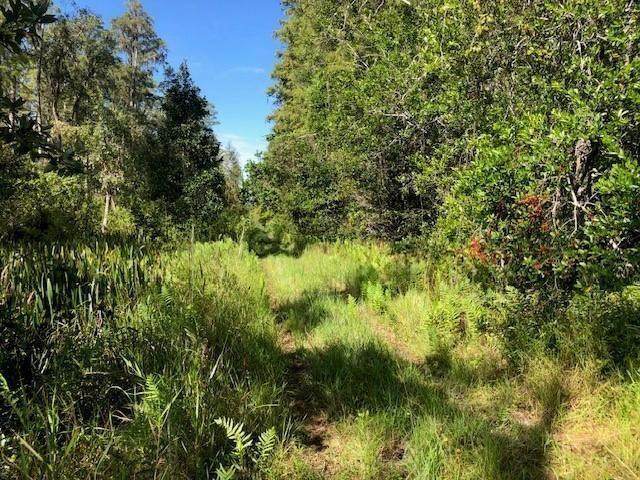 0 Old Grade Road - Photo 1
