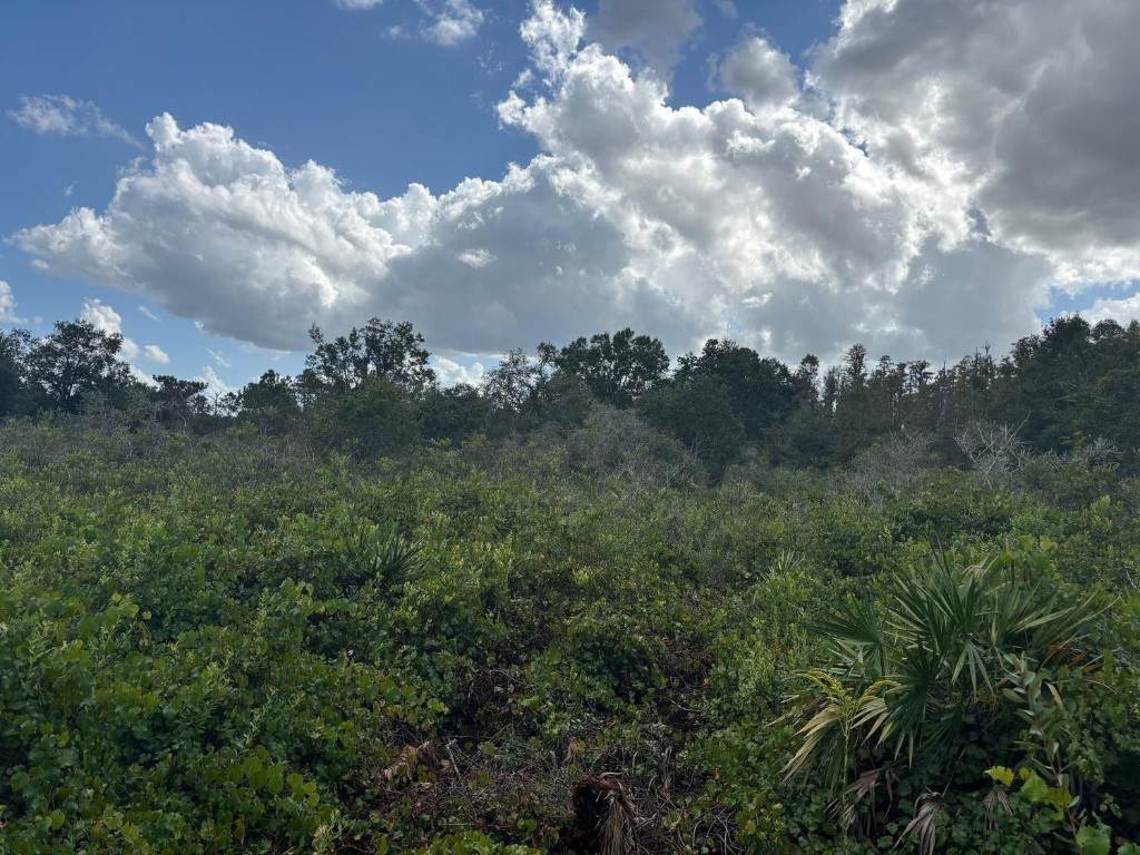 0 County Rd 54 - Photo 1
