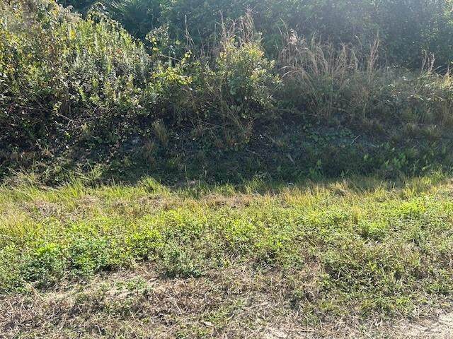 14938 254th Street - Photo 1
