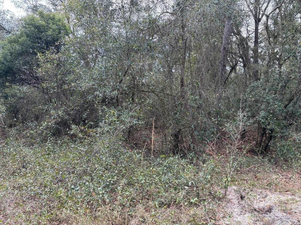 0 County Rd 54 - Photo 1