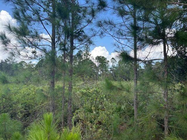 0 County Rd 54 - Photo 1