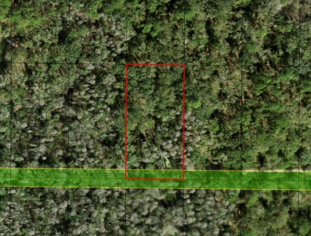 0 County Rd 54 - Photo 1