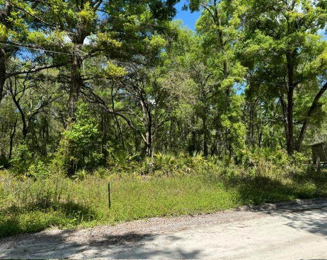Tbd 472nd Avenue - Photo 1