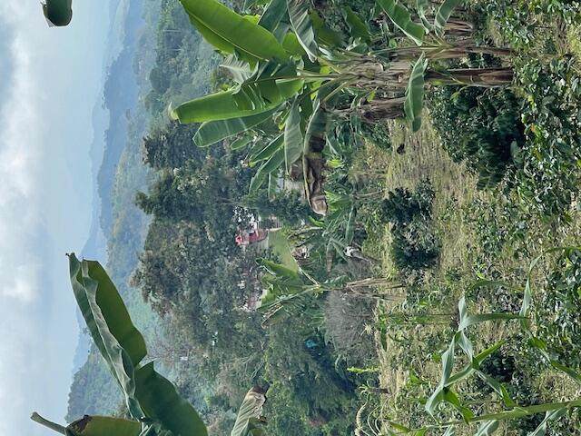 Colombia El Hatillo, Mariquita, Tol, Co - Photo 1