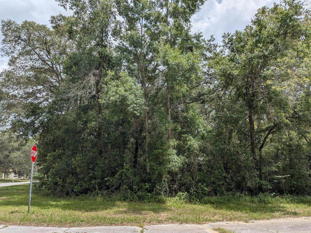 8989 Conch Terrace - Photo 1