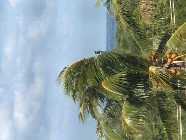 275 Palm Avenue - Photo 1