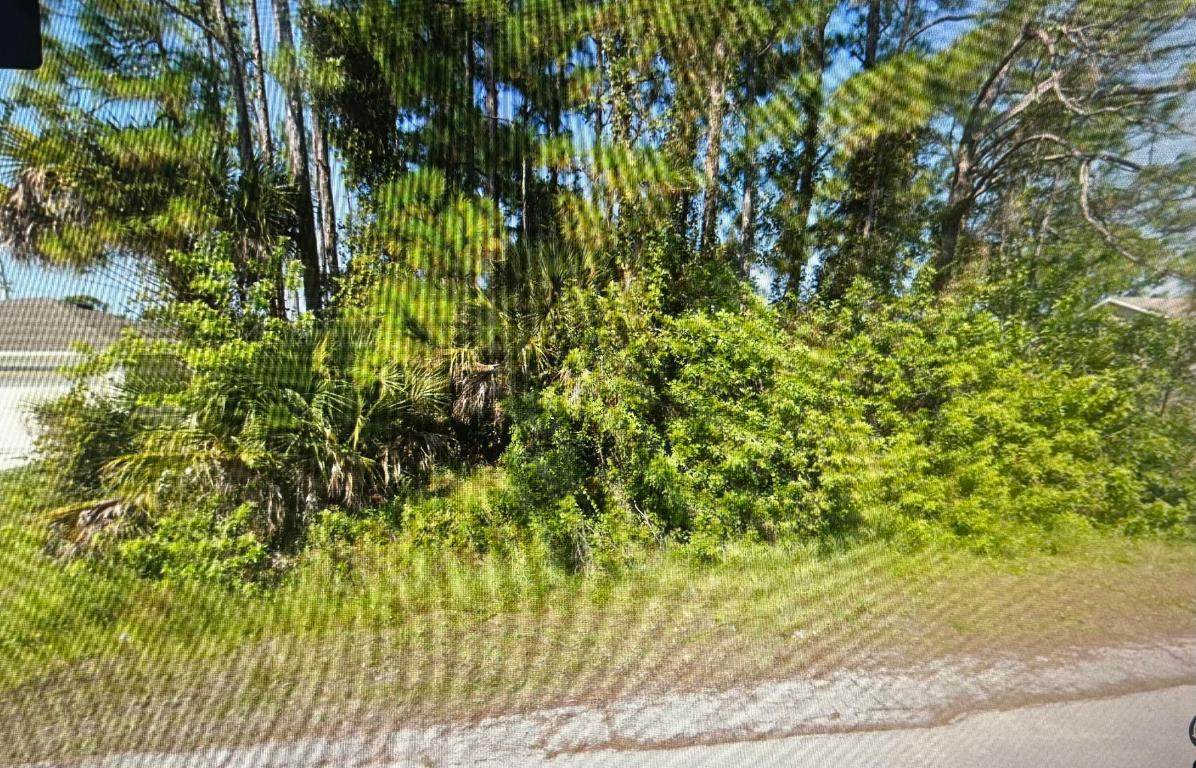 784 Halton Avenue - Photo 1