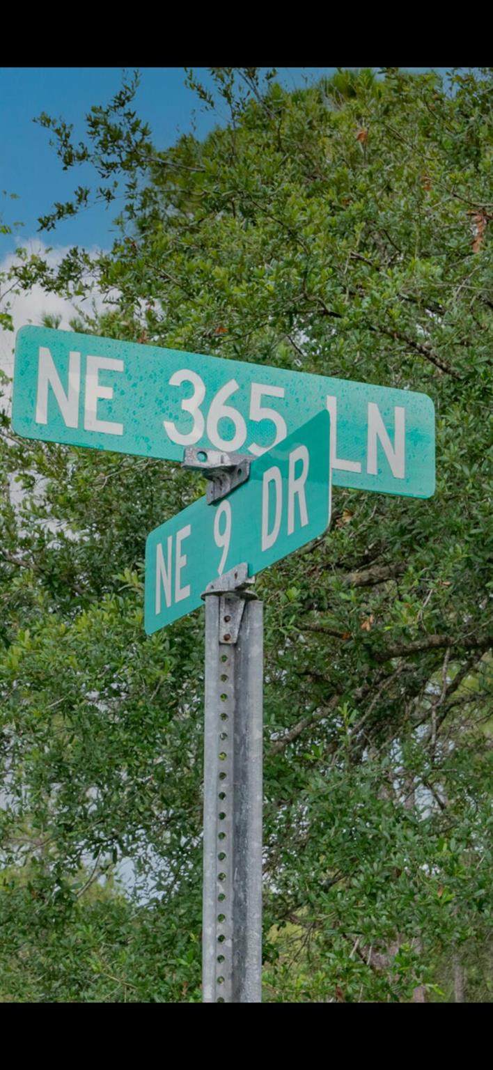 540 365th Lane - Photo 1