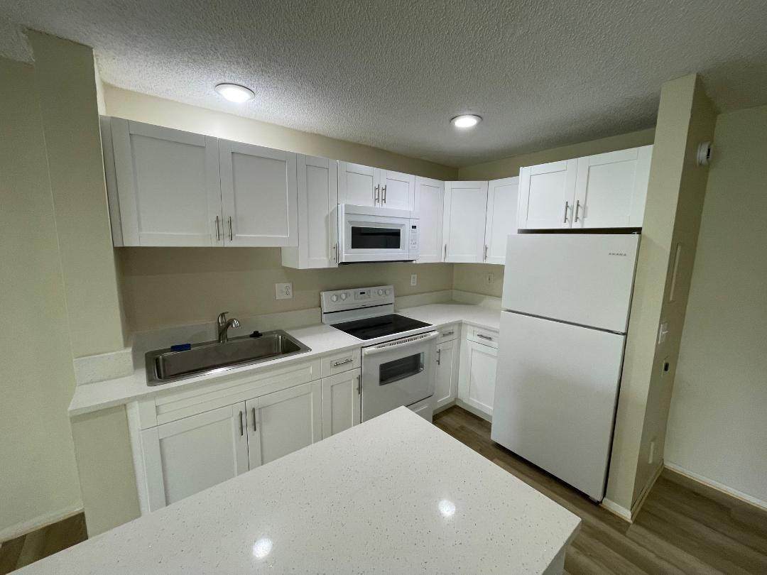 11372 Royal Palm Blvd - Photo 1