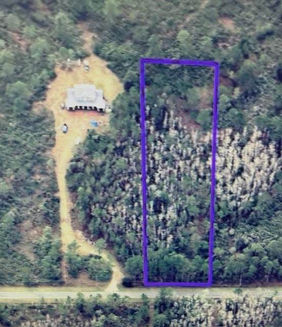 580 Sabal Street - Photo 1