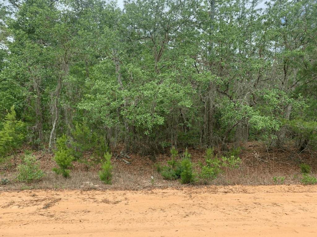 0 David Avenue - Photo 1
