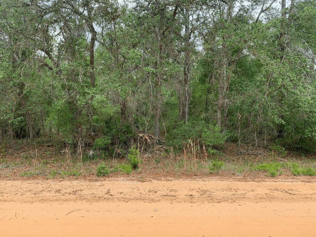 0 David Avenue - Photo 1