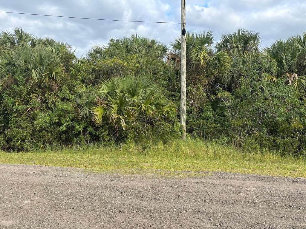 3223 Mockingbird Avenue - Photo 1