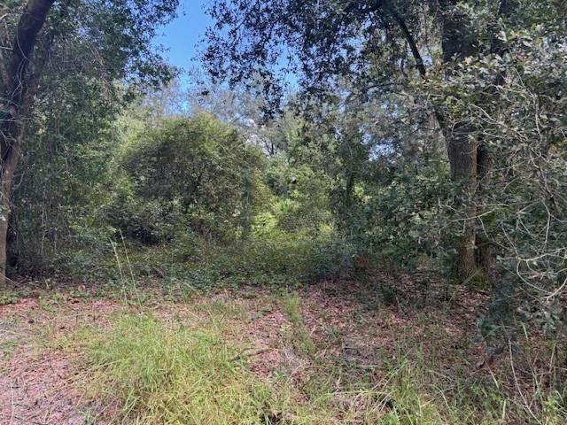 0 County Rd 54 - Photo 1