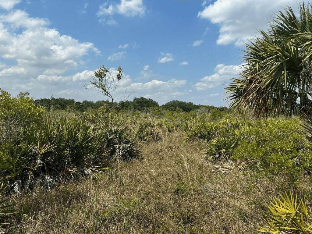 0 306th Street - Photo 1