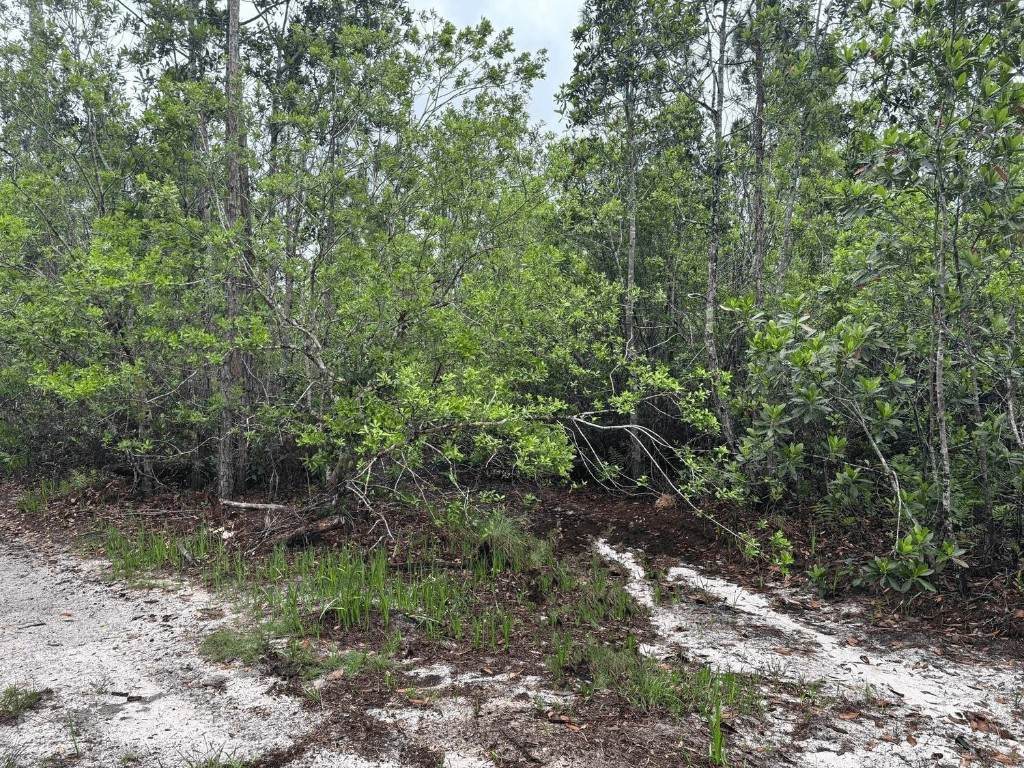 0 Holopaw Groves Road - Photo 1