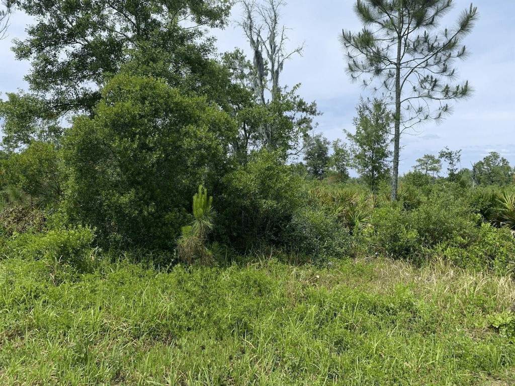 0 County Rd 54 - Photo 1