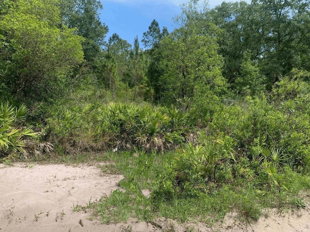 0 County Rd 54 - Photo 1