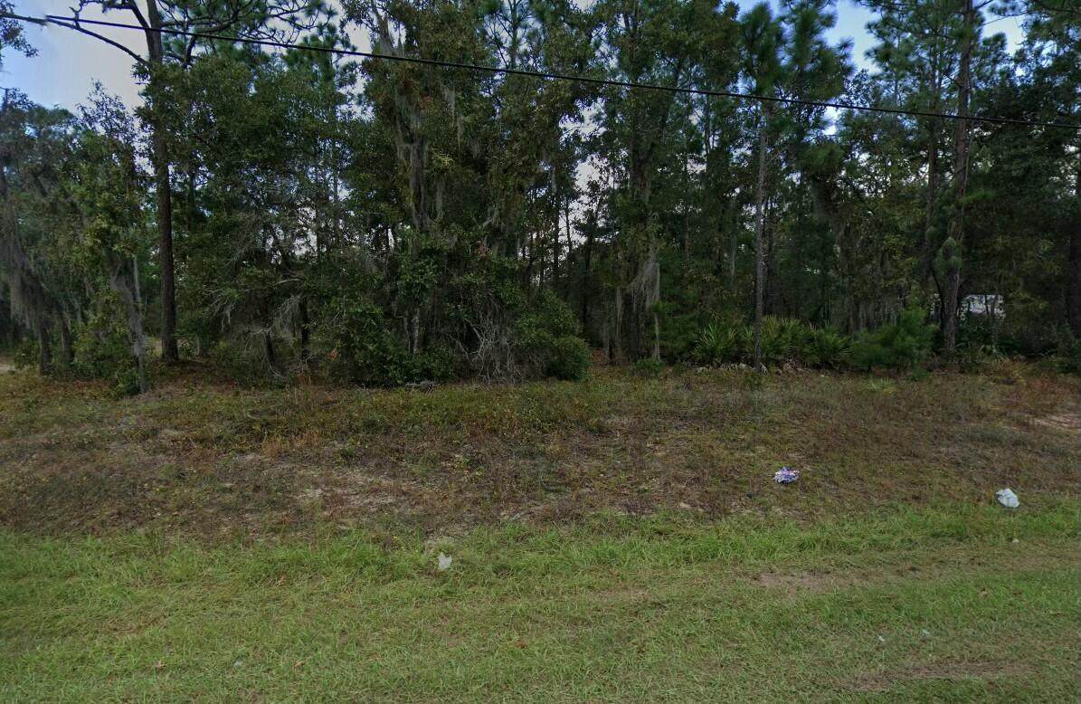 7211 Cardinal Street - Photo 1