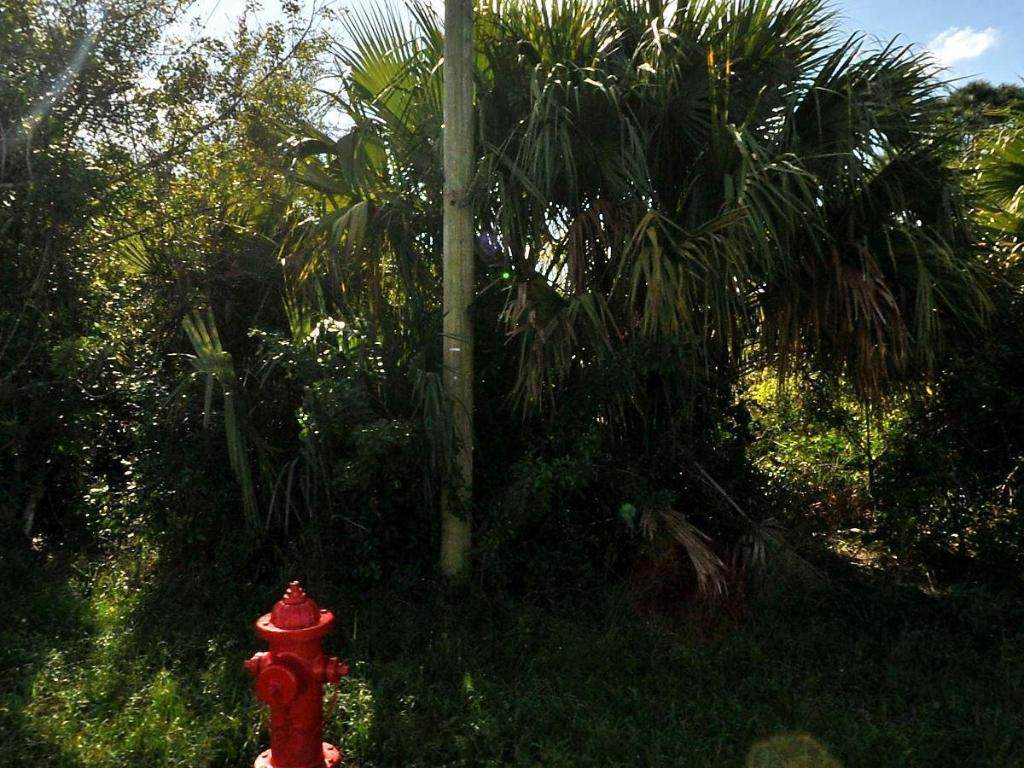 884 Mccoy Avenue - Photo 1