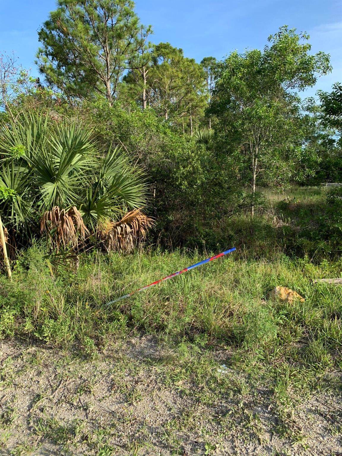 Lot 5010 - Seminole Pratt Whitney Rd - Photo 1