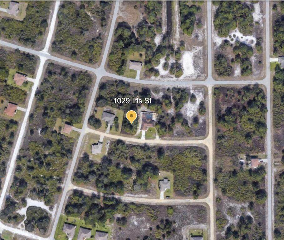 1029 Iris Street - Photo 1
