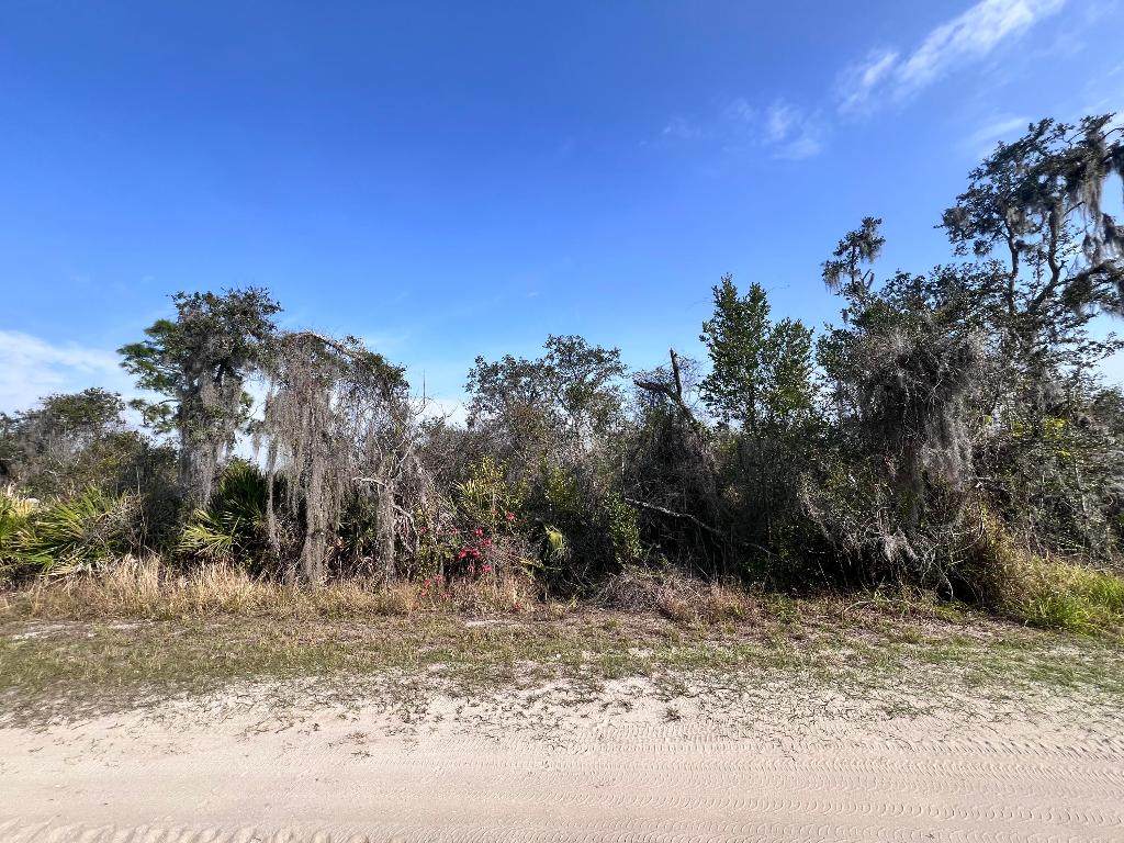 400 Nightingale Avenue - Photo 1