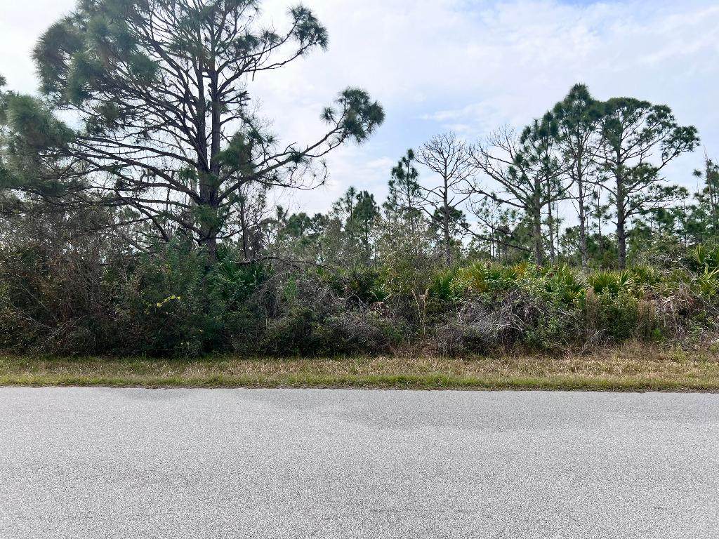 2135 Meetze Street - Photo 1