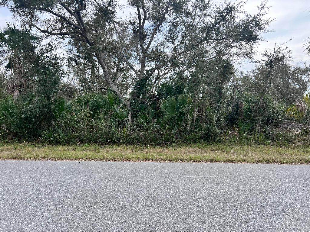 14447 Black Avenue - Photo 1