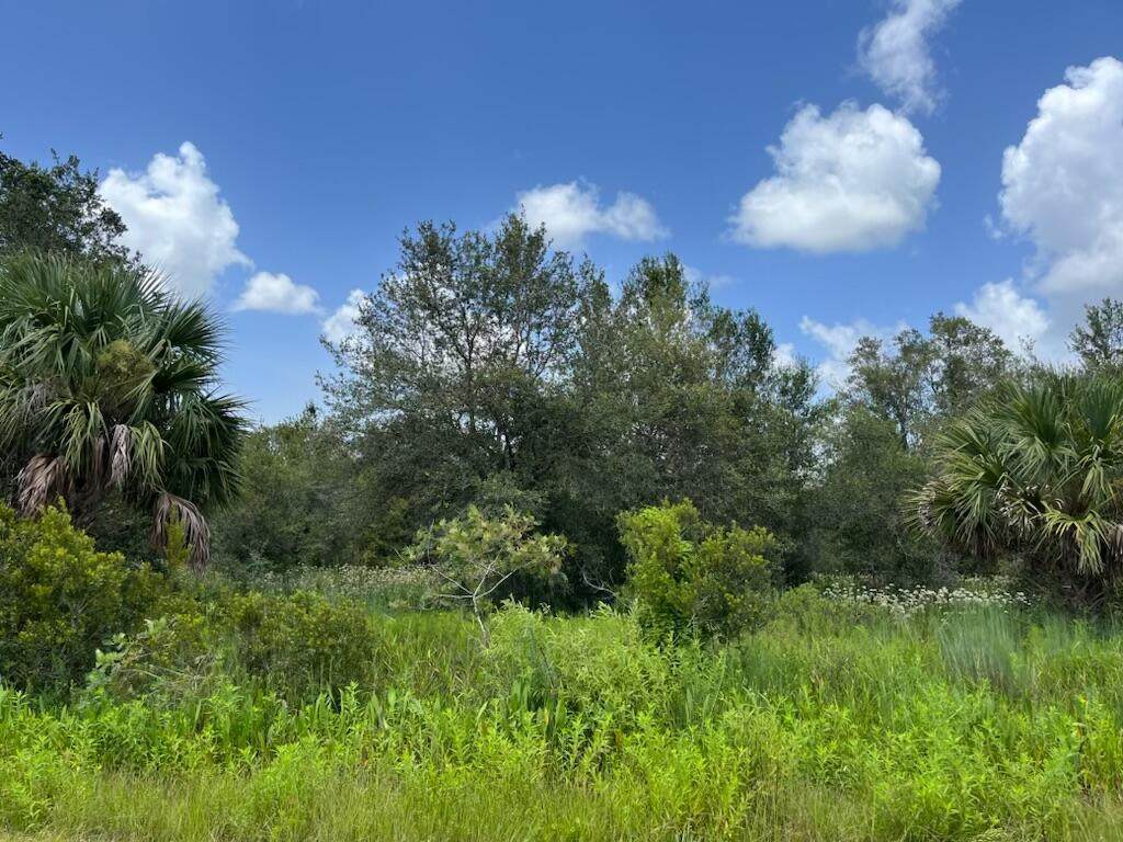 17915 290th Street - Photo 1