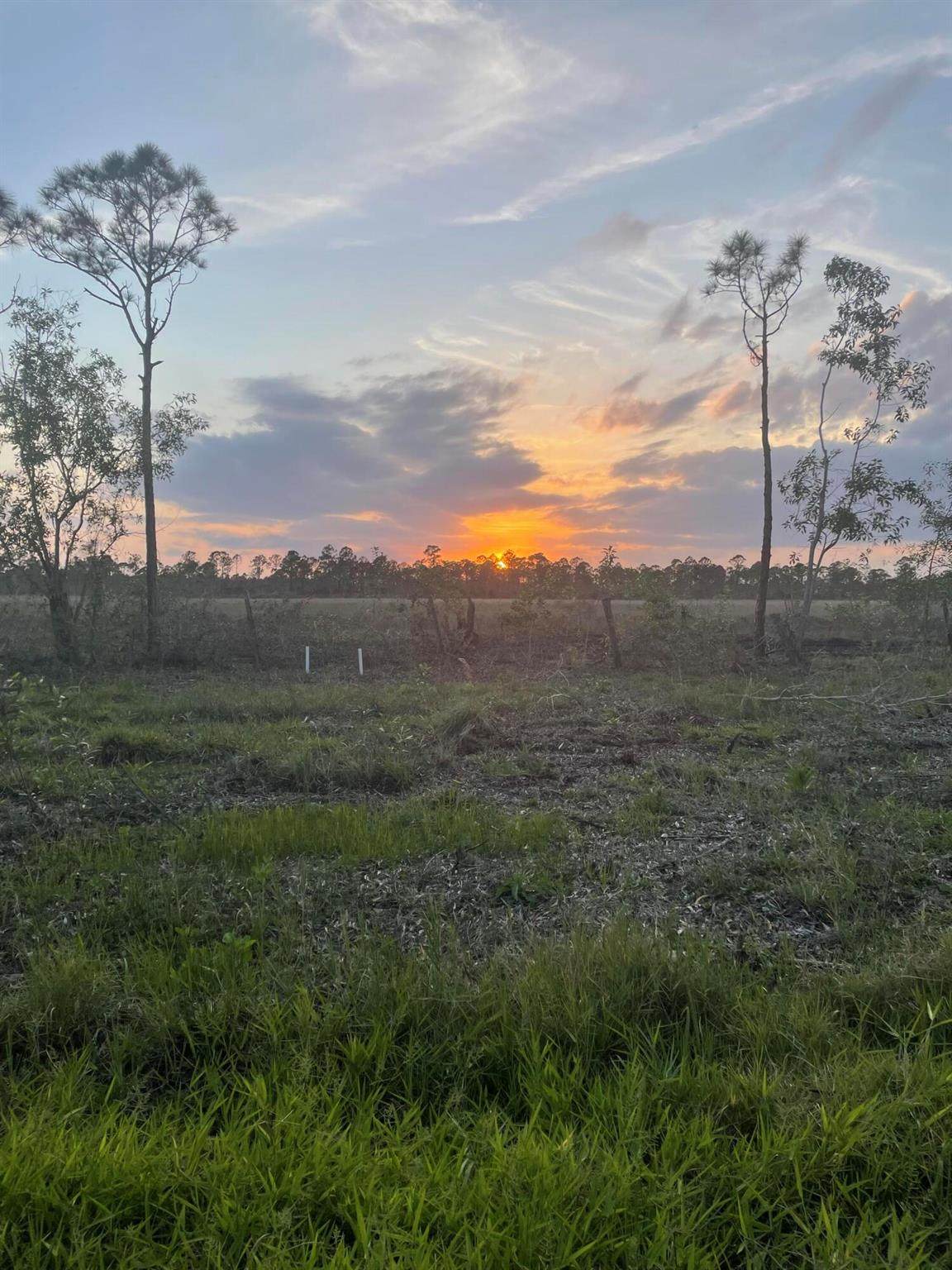 0 Poinciana - Photo 1