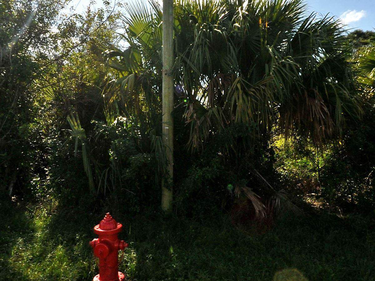 884 Mccoy Avenue - Photo 1